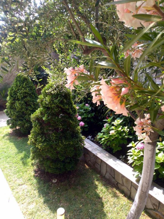 Yanevi Apartments Chernomorets Eksteriør billede